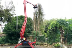 Aerial Work Platform Services