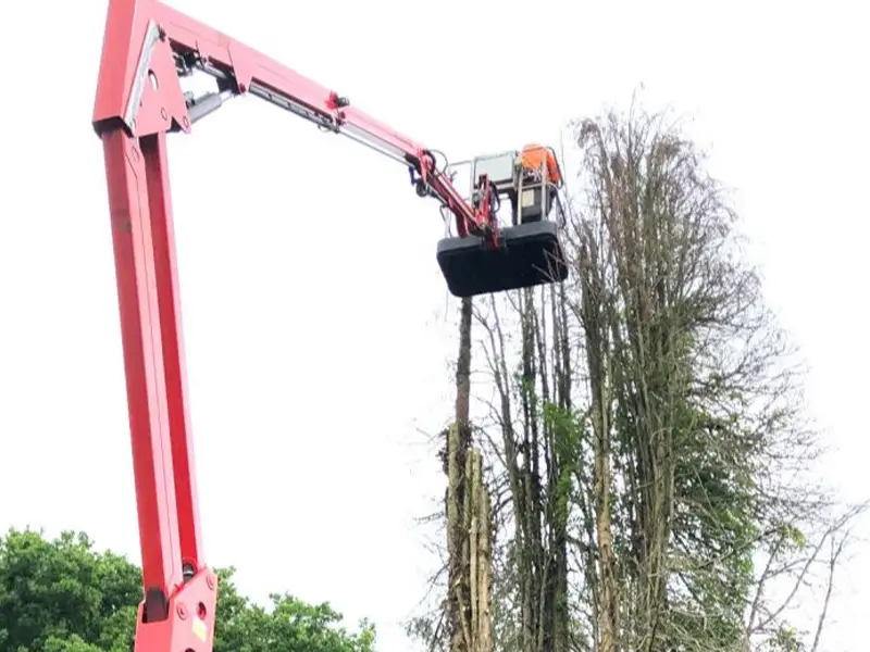 Home 4 Tree Care