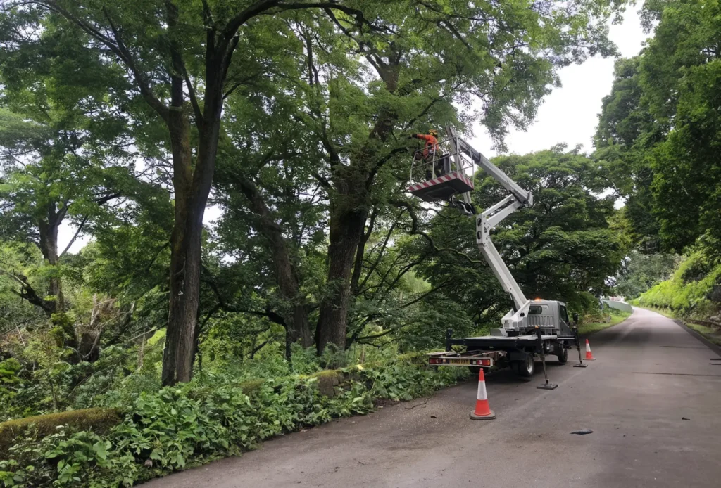 Cherry Picker Hire in Stockport 2 Cherry Picker Services Near me